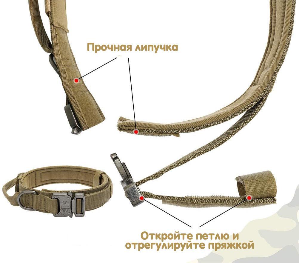 Ошейник с поводком для собак Harness нейлоновый с металлической пряжкой-фастекс L 45-55 см Коричневый (1460544978) - фото 5 Ошейник с поводком для собак Harness нейлоновый с металлической пряжкой-фастекс L 45-55 см Коричневый (1460544978) - фото 5