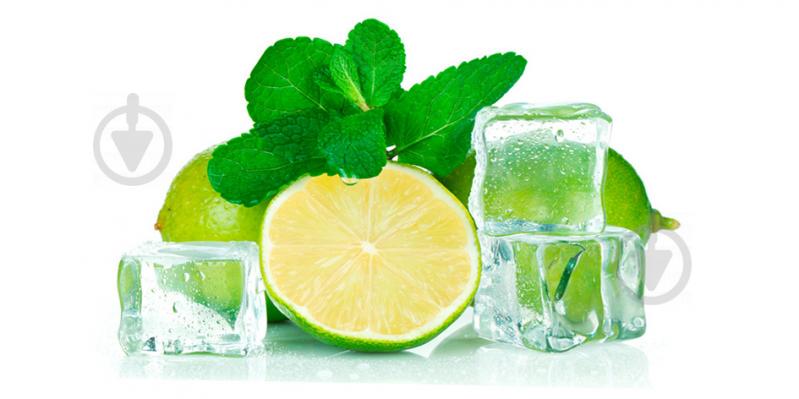 Картина на холсте Декор Карпаты Лед с лаймом 50х100 см (d1136)