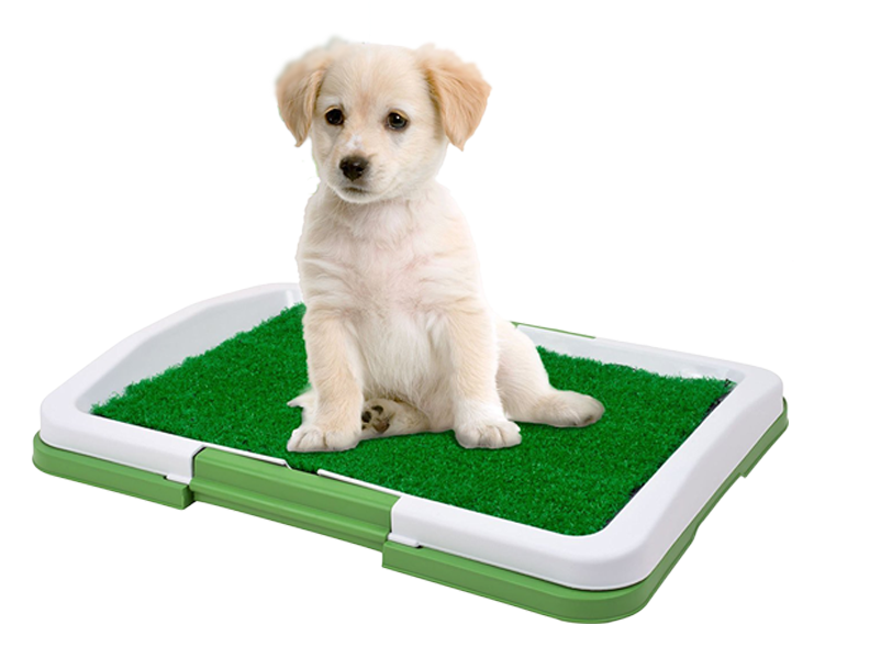 Туалет для собак и кошек Puppy Potty Pad Туалет для собак и кошек Puppy Potty Pad