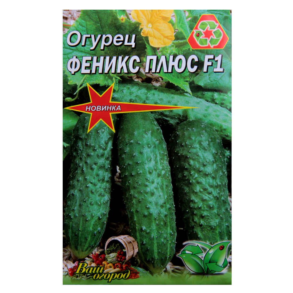 Насіння огірка Фенікс плюс F1 середньостиглий 3 г (22782)