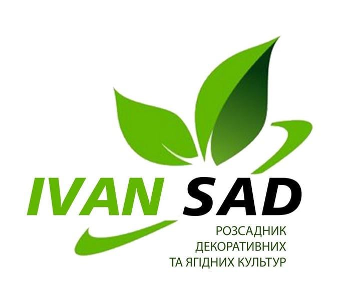 Ivansad