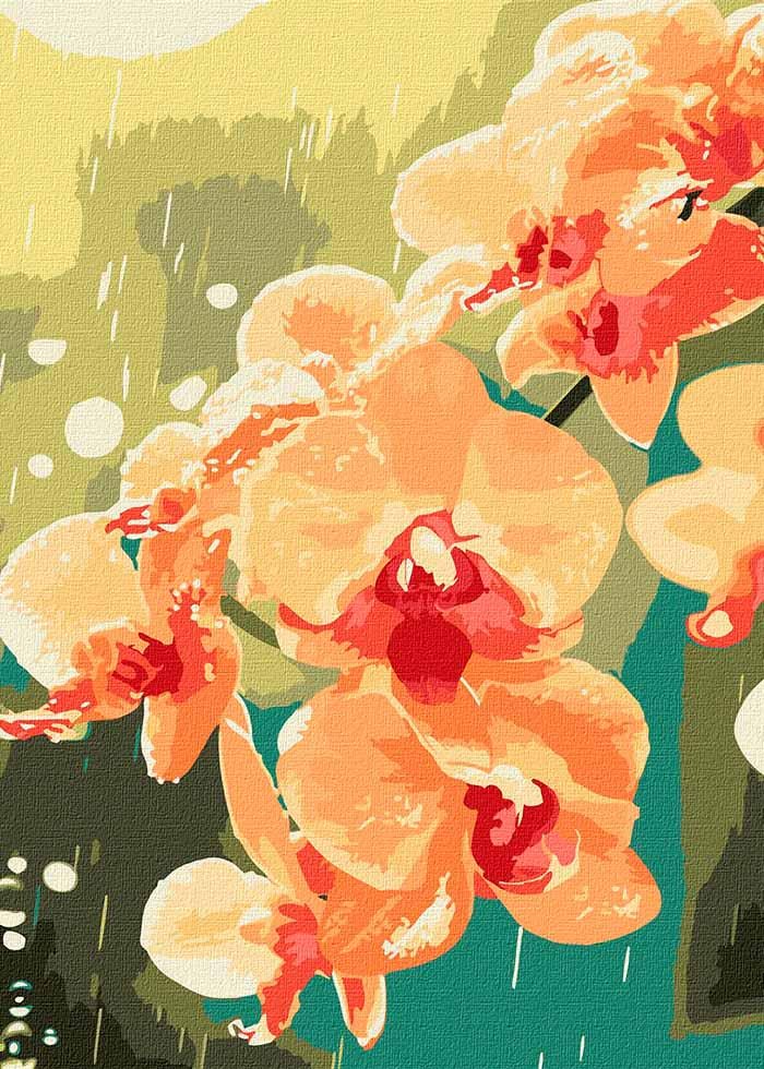 Картина по номерах Ideyka 30х40 Орхідея в краплях (KHO3325)