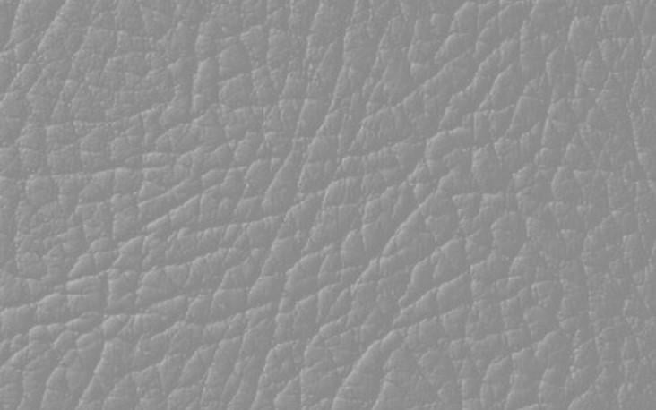 Фарба для натуральної та штучної шкіри Leather Expert Colourant 50 г 404 Grey