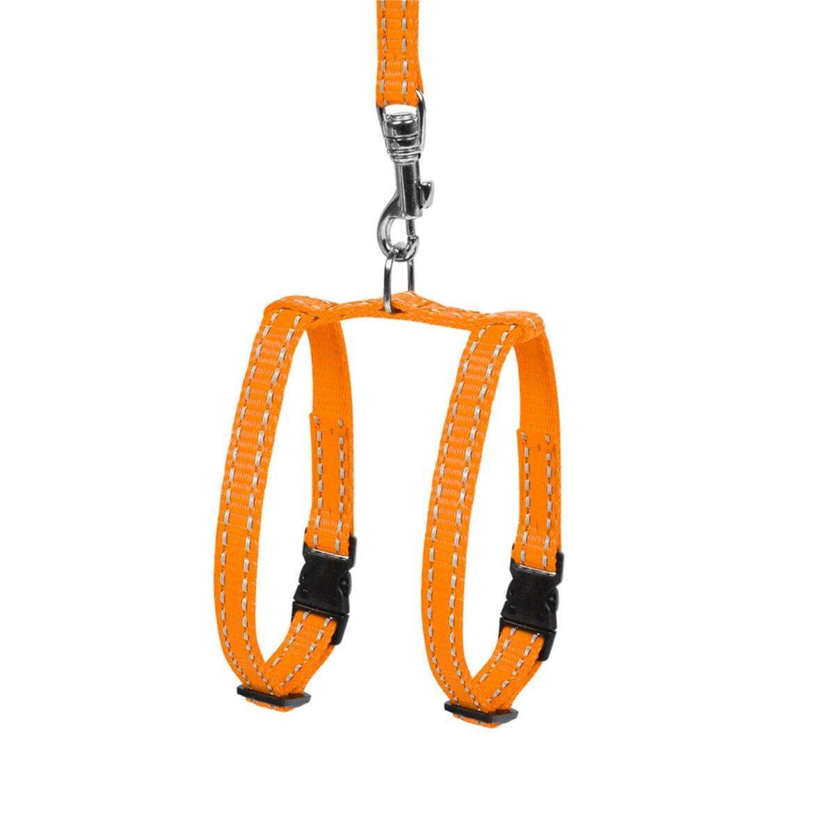 Шлея регульована з повідцем Dog Extreme для морських свинок/декоративних щурів з нейлону 10 мм х 115 см х 12-22 см Помаранчевий (07014 Col) Шлея регульована з повідцем Dog Extreme для морських свинок/декоративних щурів з нейлону 10 мм х 115 см х 12-22 см Помаранчевий (07014 Col)
