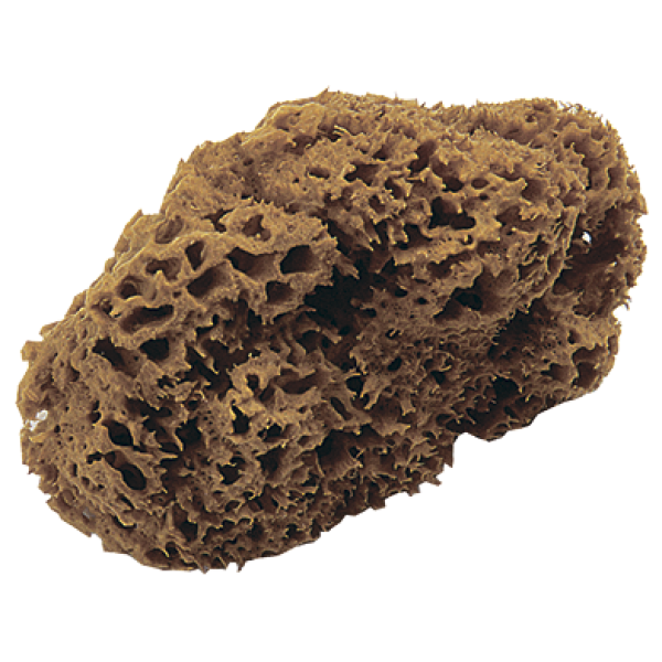 Губка натуральная морская Oikos SPUGNA MARINA