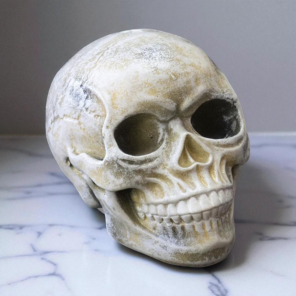 Копилка для денег декоративная гипсовая Череп Хэллоуин 20x15 см Бежевый (27-HL1-3779) Копилка для денег декоративная гипсовая Череп Хэллоуин 20x15 см Бежевый (27-HL1-3779)