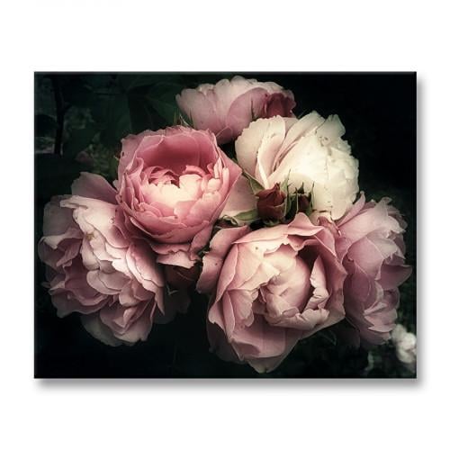 Картина Нежные Пионы 60x80 см (P0491)