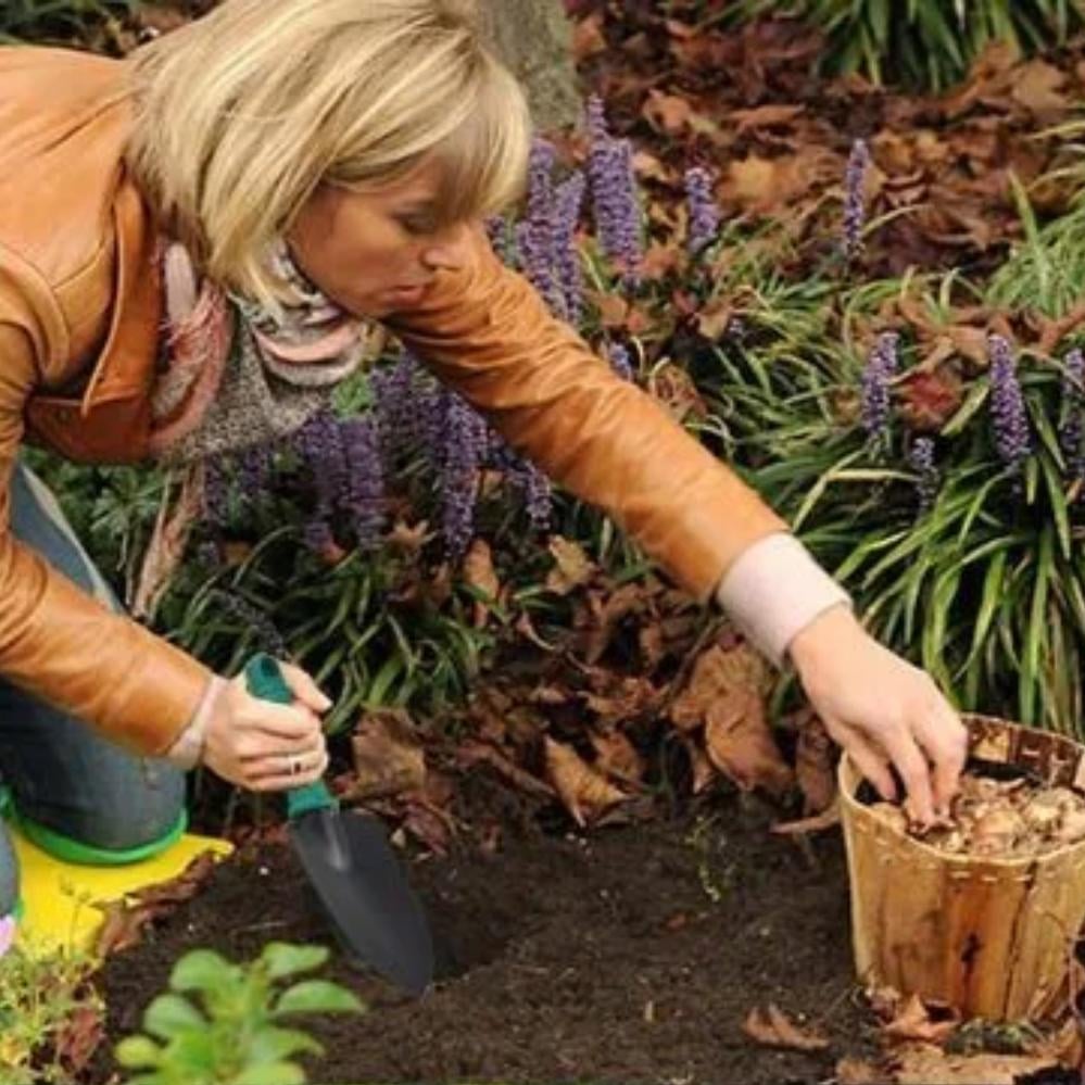 Набір садових інструментів 5в1 для догляду за садом та городом у кейсі (120.1712) - фото 2