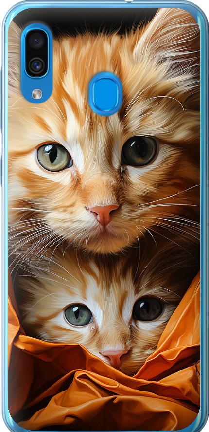 Чехол на Samsung Galaxy A20 2019 A205F Котики 2 (5664u-1761-42517)