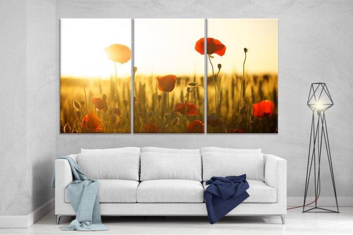 Картина модульная на холсте DK Маки 159x99 см (XL44)