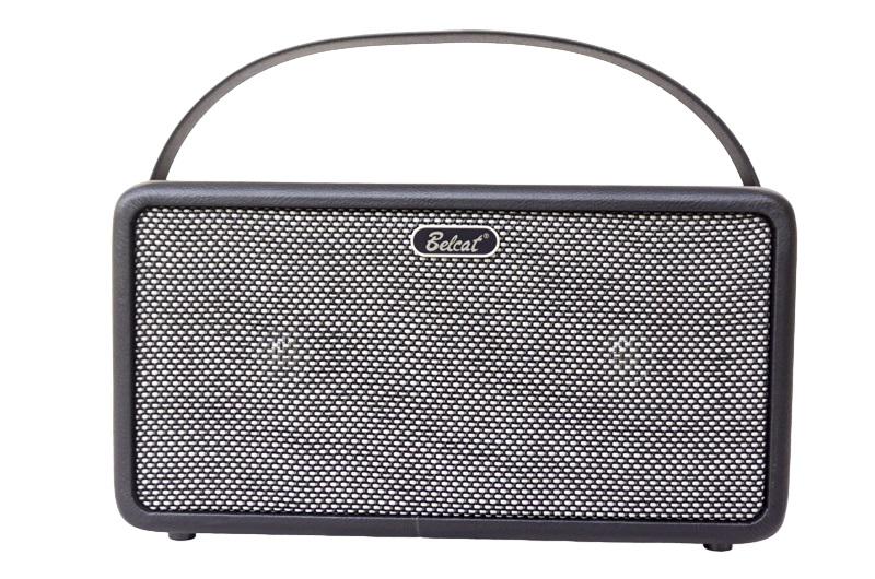 Комбопідсилювач портативний гітарний Belcat BOUNCE-25 (25491701)