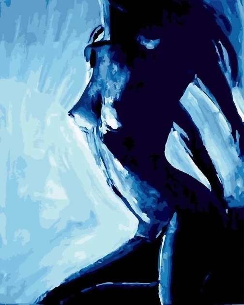 Картина по номерам Rainbow Art Ночная страсть 40х50 см (GX32009)