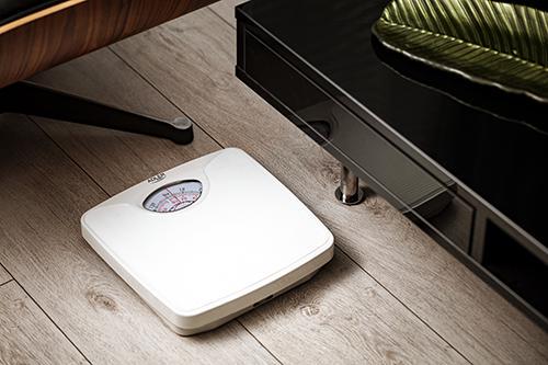 Весы напольные механические Adler AD 8151 - фото 6