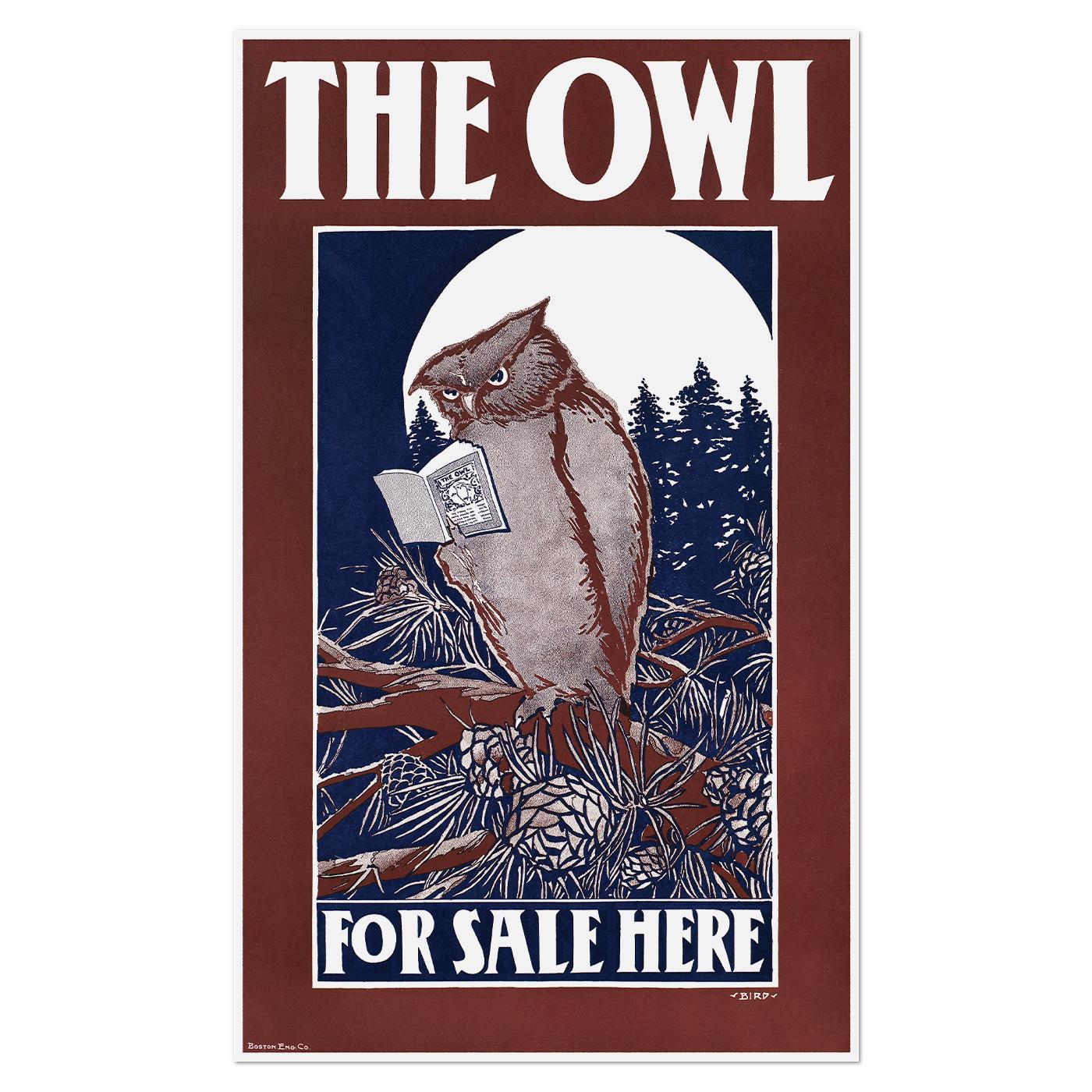 Винтажный плакат The Owl 1900 37x61 см (0181)