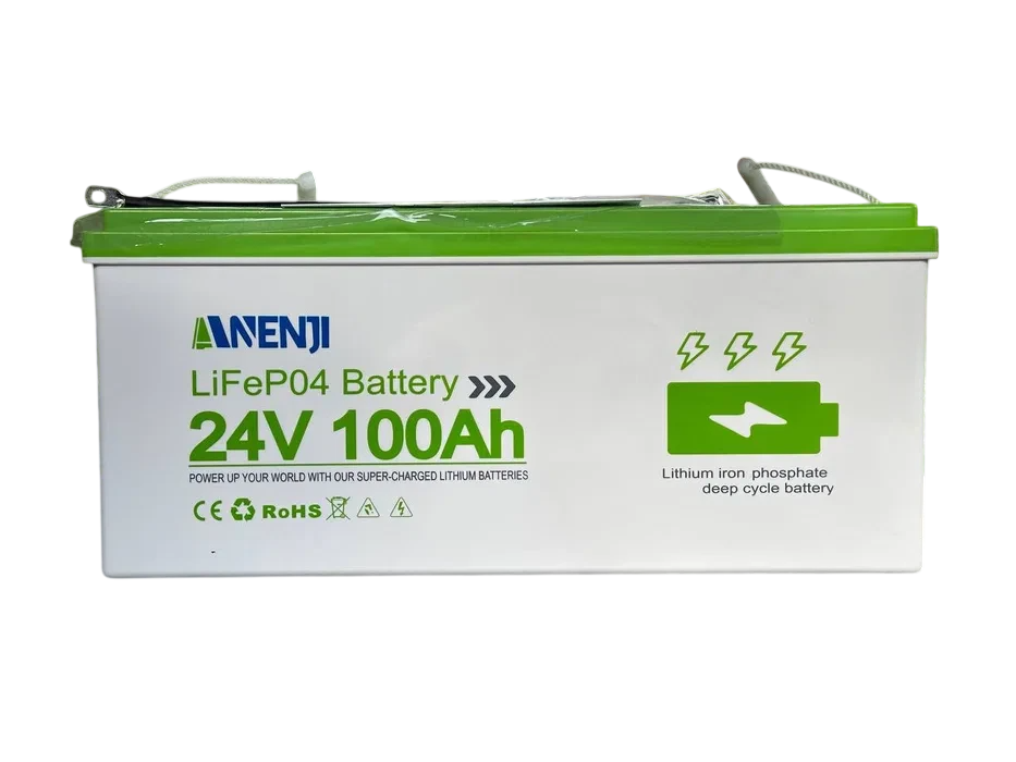 Аккумулятор Anenji ANJ-24V-100 Ah-PX lifepo4 100A 24V (2447960691)