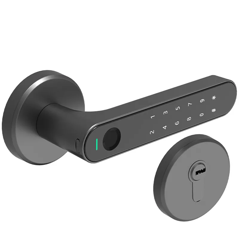 Замок розумний для міжкімнатних дверей Arkfish Smart Lock S5 Pro Split Version Black