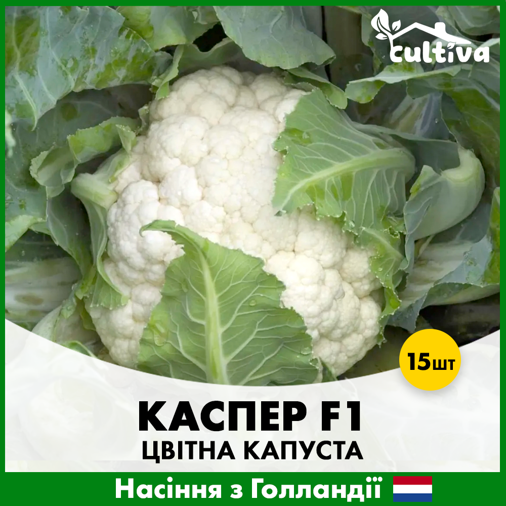 Насіння цвітної капусти Rijk Zwaan Каспер F1 15 шт. (00363)