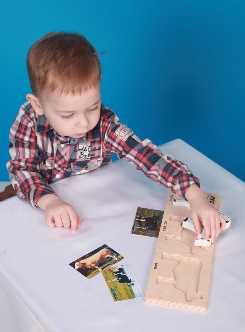 Набор рамка-вкладыш HEGA Коровы с объёмными фигурками и карточками(123) - фото 10 Набор рамка-вкладыш HEGA Коровы с объёмными фигурками и карточками(123) - фото 10