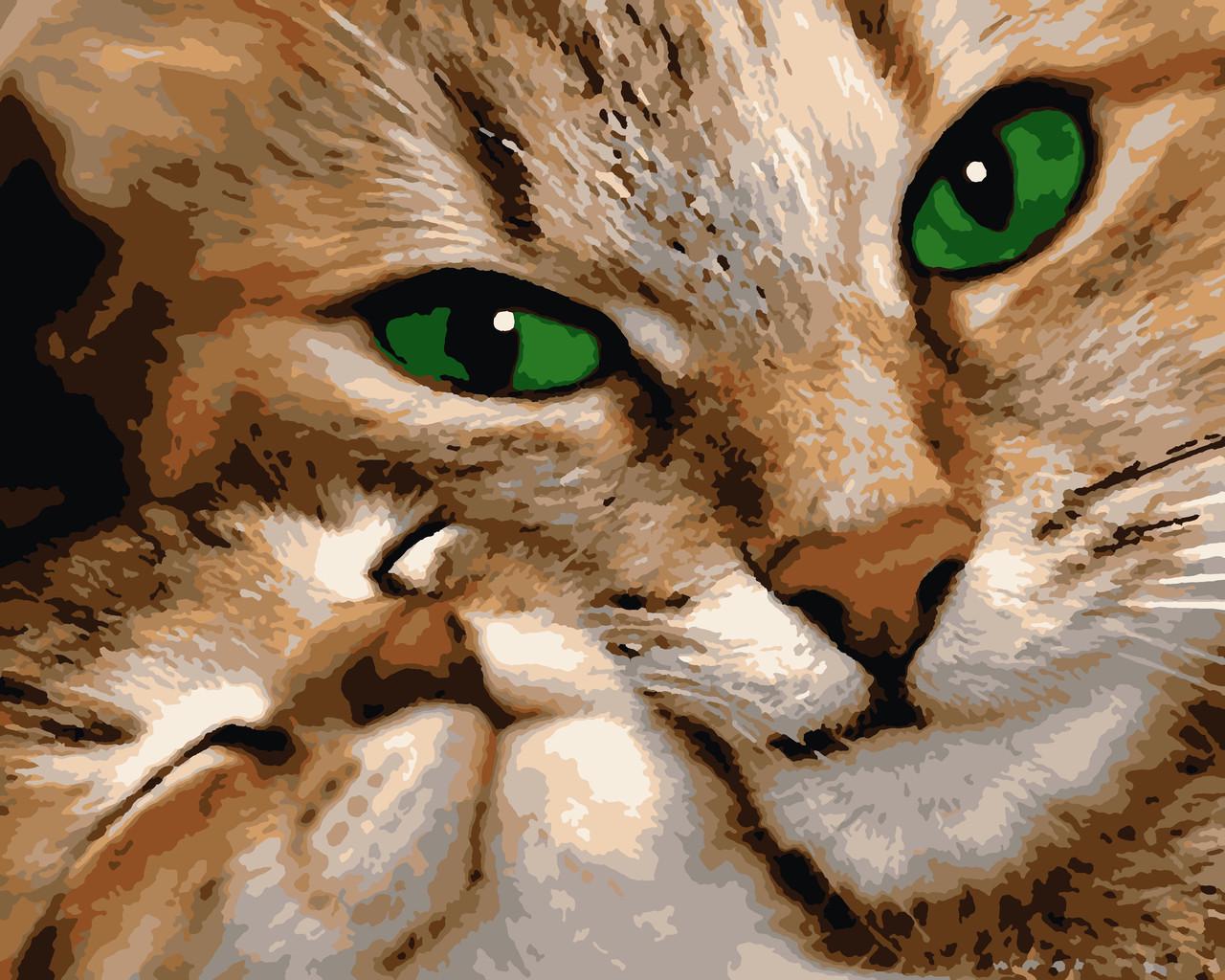 Картины по номерам Artissimo PN1545 Мамина любовь холст на подрамнике 40x50 см (1444904881)