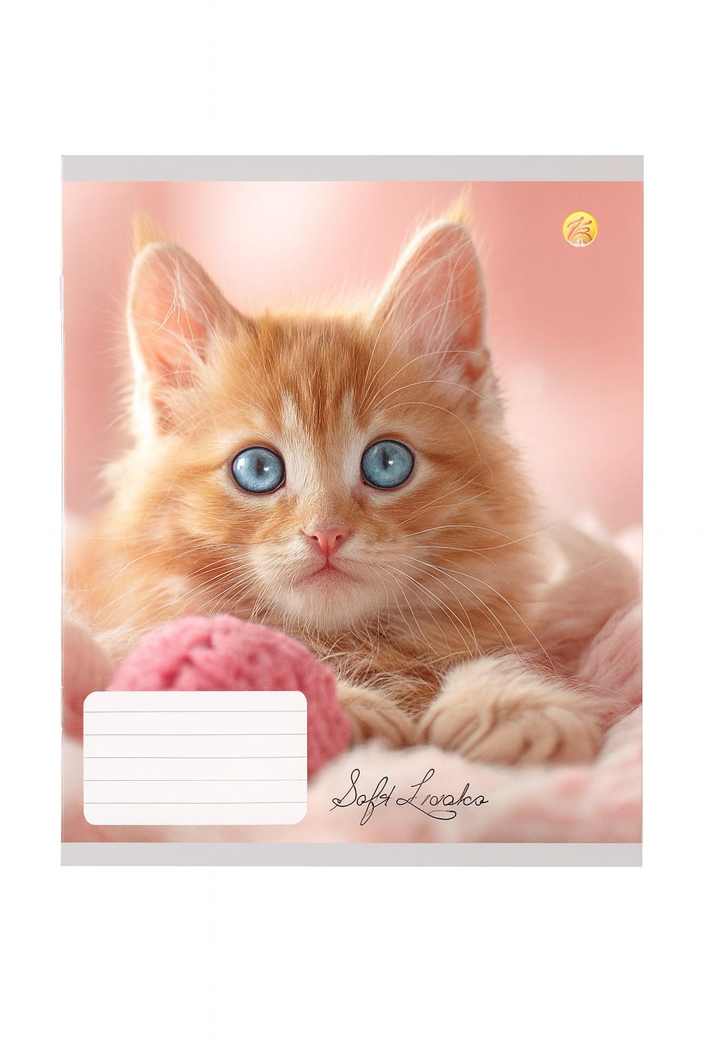 Тетрадь 1 сентября 12 л. клетка твердая (ТА51100) Тетрадь 1 сентября 12 л. клетка твердая (ТА51100)