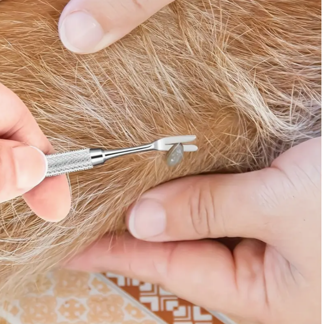 Інструмент для видалення кліщів для собак і котів з V-подібною головкою з нержавіючої сталі (2007) - фото 8 Інструмент для видалення кліщів для собак і котів з V-подібною головкою з нержавіючої сталі (2007) - фото 8