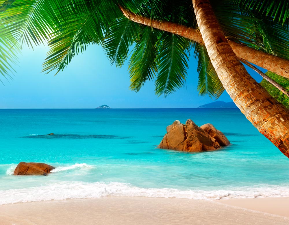 Фотообои WS Wallpaper Пляж 360x260 см (31045)