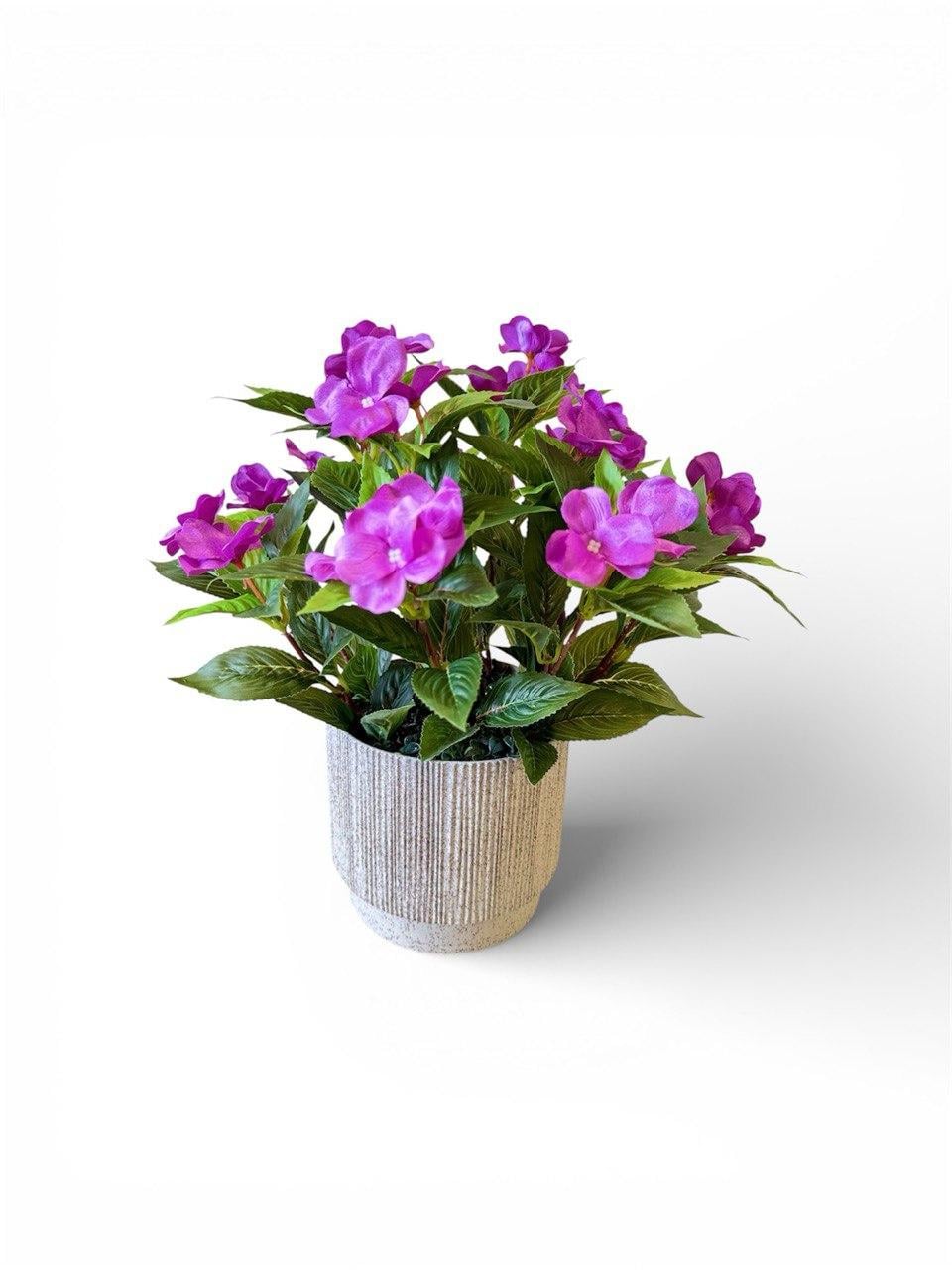 Букет бегоний в кашпо ПЛАСТМАКС Сиреневый (R1005)