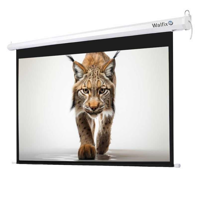 Екран проекційний Walfix TLS-3 моторизований 100" 200х150 см 4:3 (tf2630) Екран проекційний Walfix TLS-3 моторизований 100" 200х150 см 4:3 (tf2630)