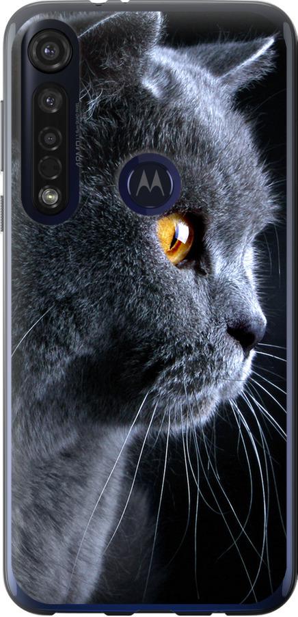 Чехол на Motorola G8 Plus Красивый кот (3038u-1837-42517)