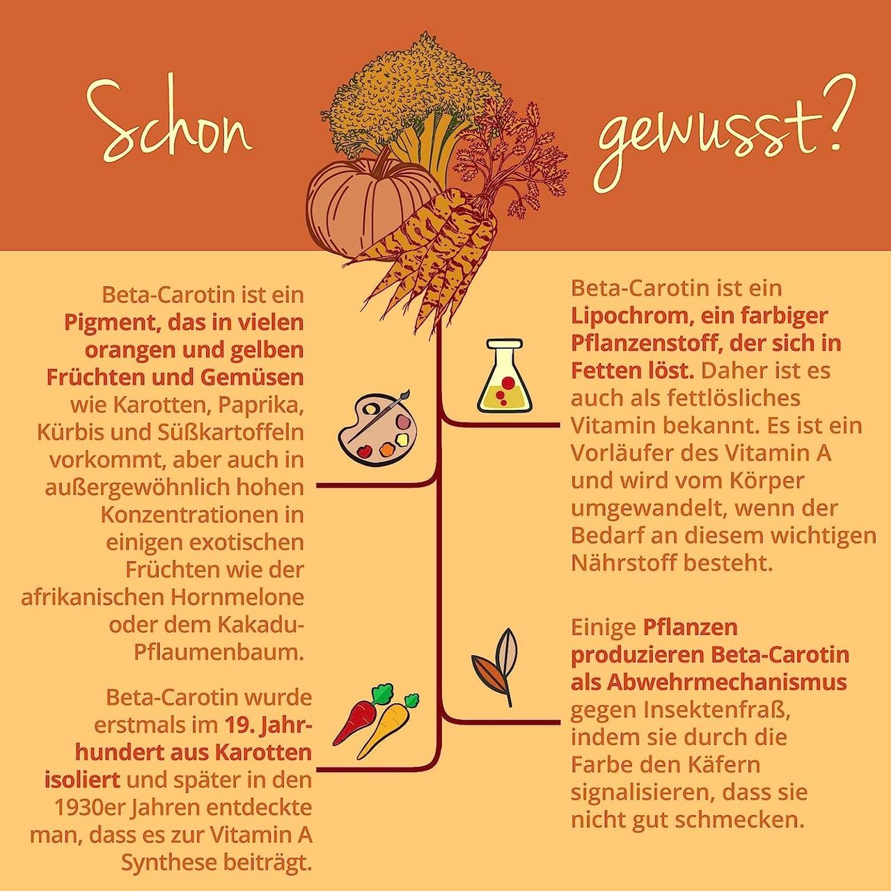 Бетакаротин Vegavero 7 мг 120 капсул (50094609v) - фото 3 Бетакаротин Vegavero 7 мг 120 капсул (50094609v) - фото 3