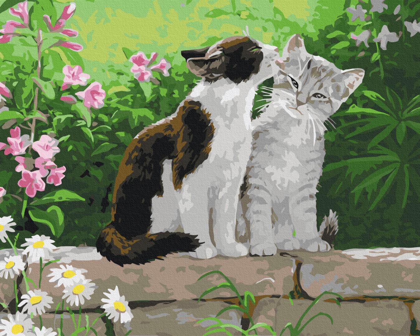 Картина по номерам Brushme Пара котят 48x60 см (BS3251L) Картина по номерам Brushme Пара котят 48x60 см (BS3251L)