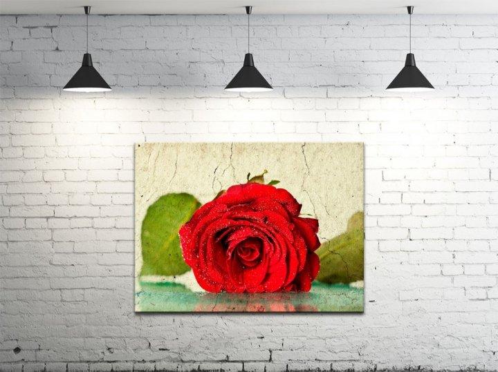 Картина на холсте DK Красная роза 45х60 см (DKP4560-c123)