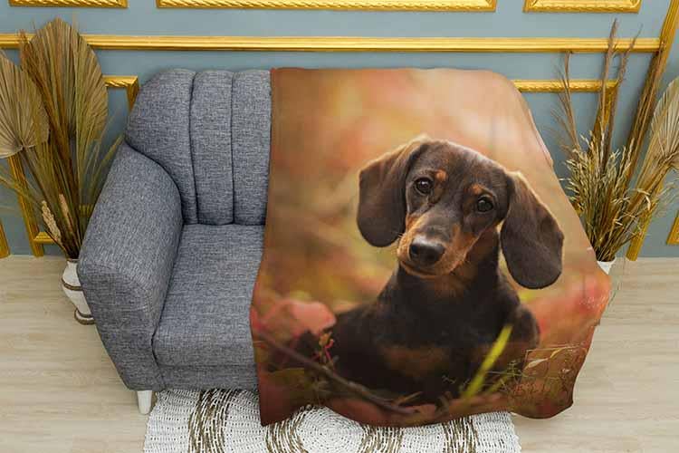 Плед Dachshund in autumn leaves плюш однослойный 135х150 см (113469)