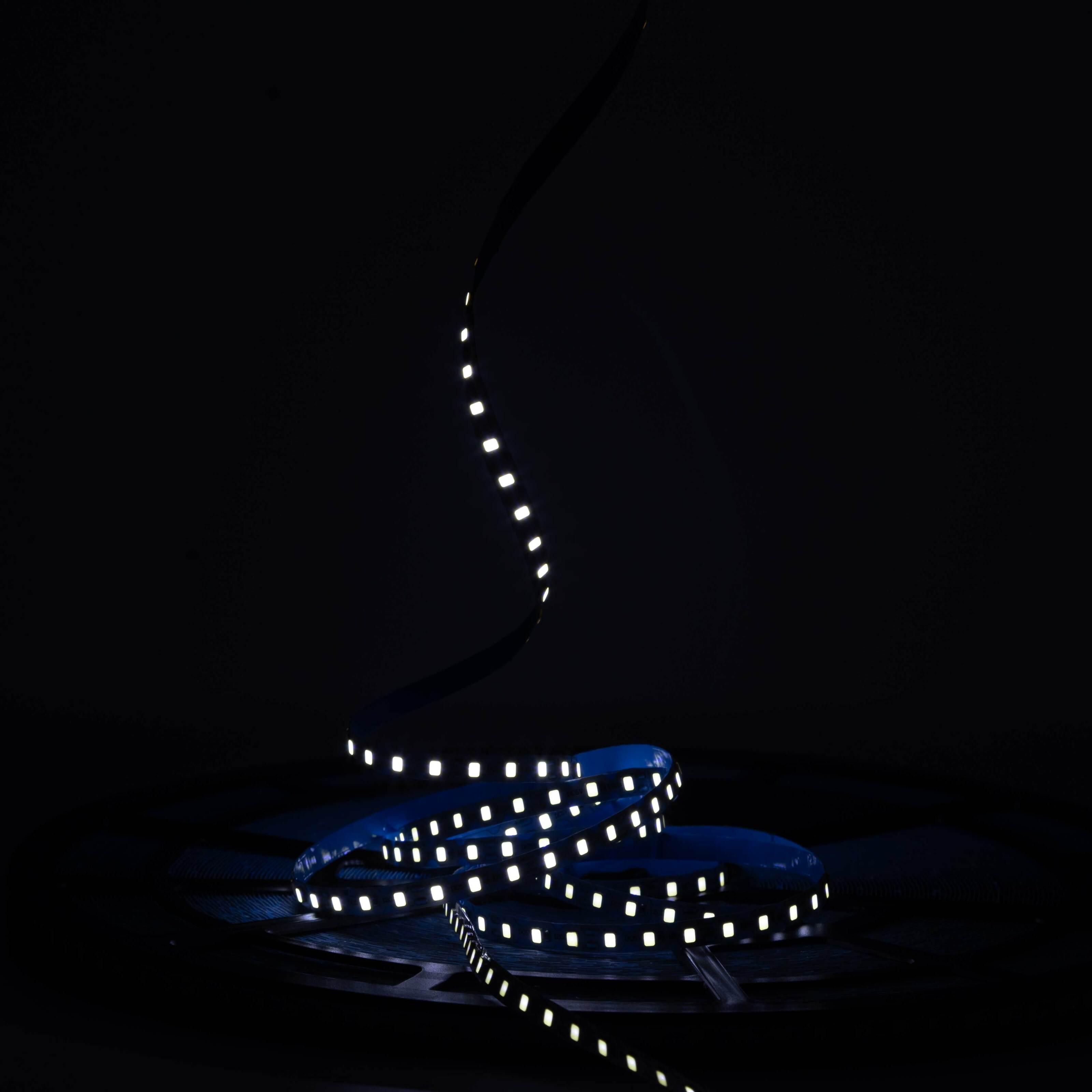 Светодиодная лента Prolum IP20 2835/120 50M S-TYPE Series-S 12V 6 мм Белый (28522774) - фото 2 Светодиодная лента Prolum IP20 2835/120 50M S-TYPE Series-S 12V 6 мм Белый (28522774) - фото 2