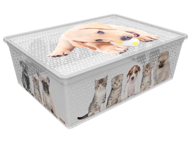 Контейнер с крышкой Qutu Light Box 25 л Cats and Dogs (MLM-LIGHT-BOX-S-K-CATS-AND-DOGS-25L_)