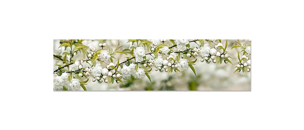 Кухонный фартук Белая сакура из самоклеющейся виниловой пленки 65х250 см Зеленый