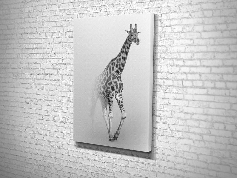 Картина для интерьера Черно-белый жираф 51x34 см (456)