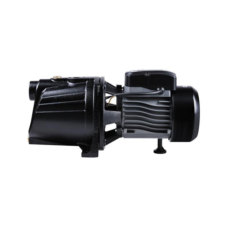 Центробежный насос самовсасывающий Thermo Alliance D-JNWm-10M 0,75 кВт (24787377)