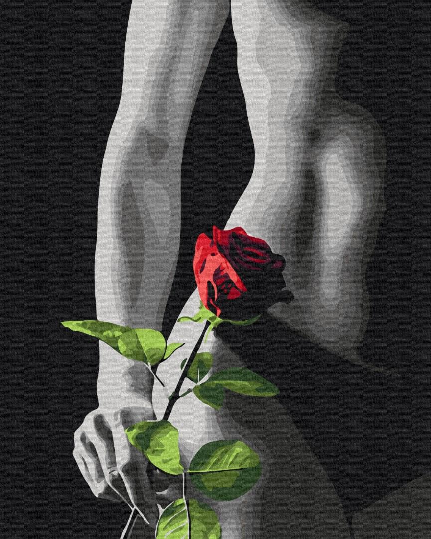 Картина по номерам Brushme Премиум Элегантный акцент 40x50 см (PBS53919)