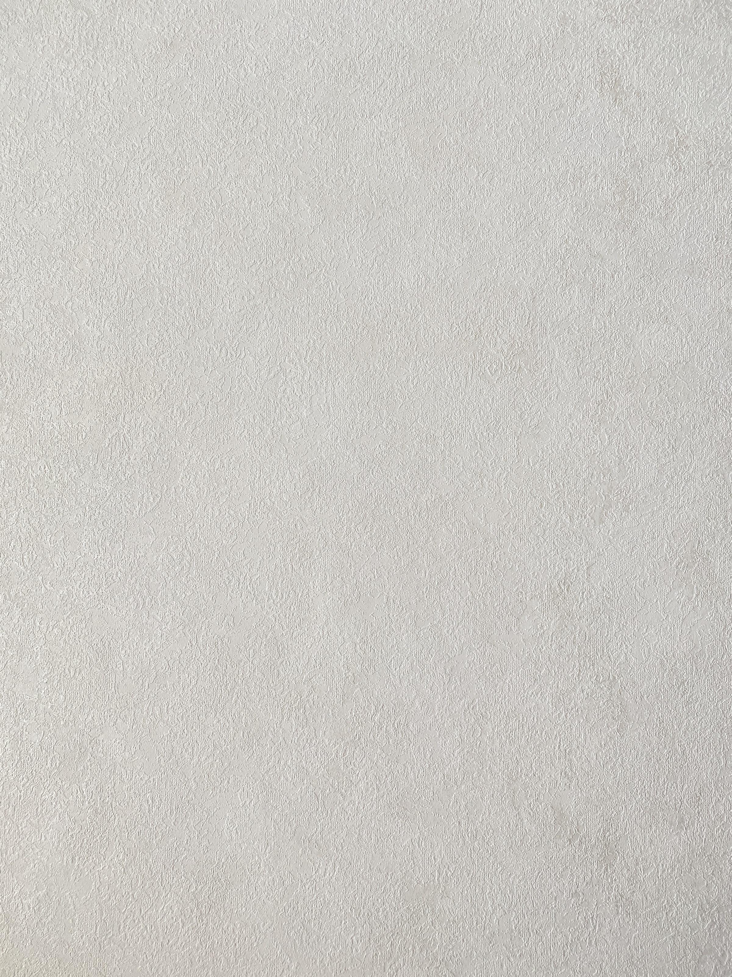 Обои виниловые на флизелиновой основе Grandeco Opportunity Wallcoverings Q0009 Штукатурка Белый