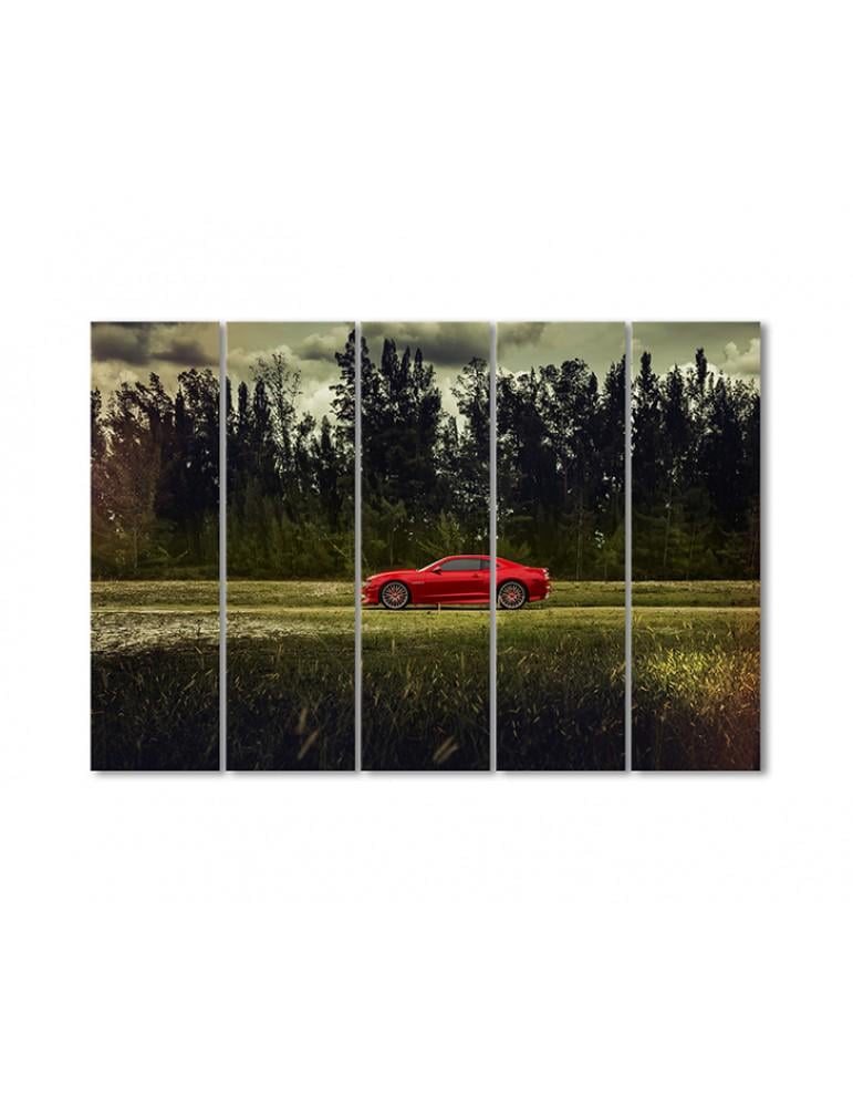 Картина модульная  Спортивная машина в поле 5 модулей 90x135 см