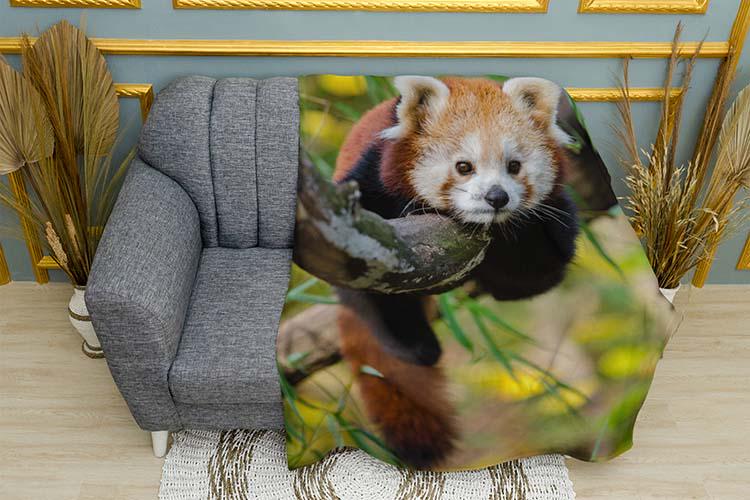 Плед Red panda Rest on a tree плюш двухслойный 150х210 см (114030-3)