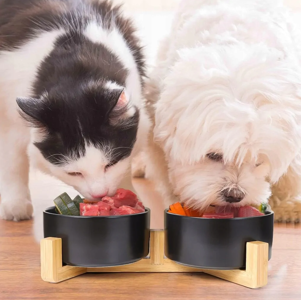 Миска подвійна керамічна для собак і котів на підставці 2х400 мл Чорний - фото 5