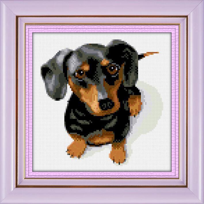 Алмазная мозаика Dream Art Такса 25x25 см (DA.30048)