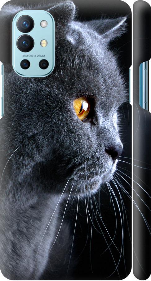 Чехол на OnePlus 9R Красивый кот (3038m-2326-42517)