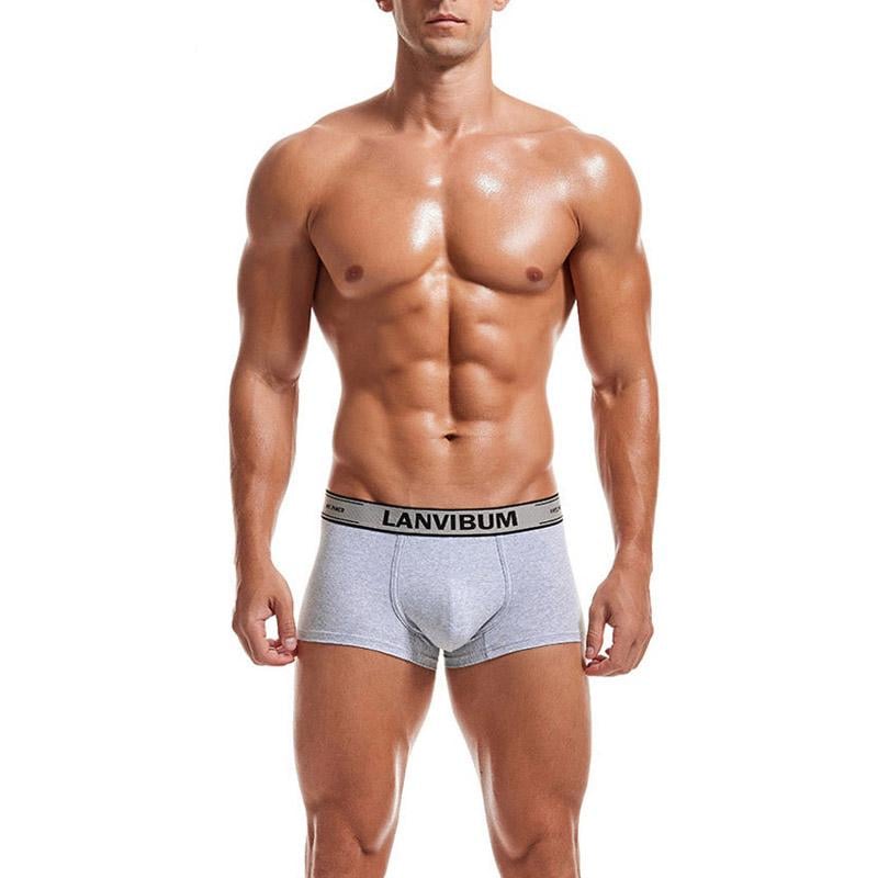 Трусы Lanvibum XXL Серый (7472)