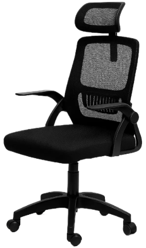 Кресло Diego ErgoFlex сетка Черный Кресло Diego ErgoFlex сетка Черный
