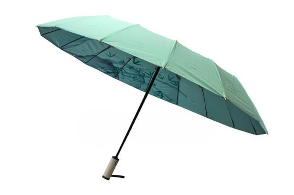 Парасолька-автомат жіноча SKS 61631-6 з птахами під куполом 16 спиць Бірюзовий (33305184)