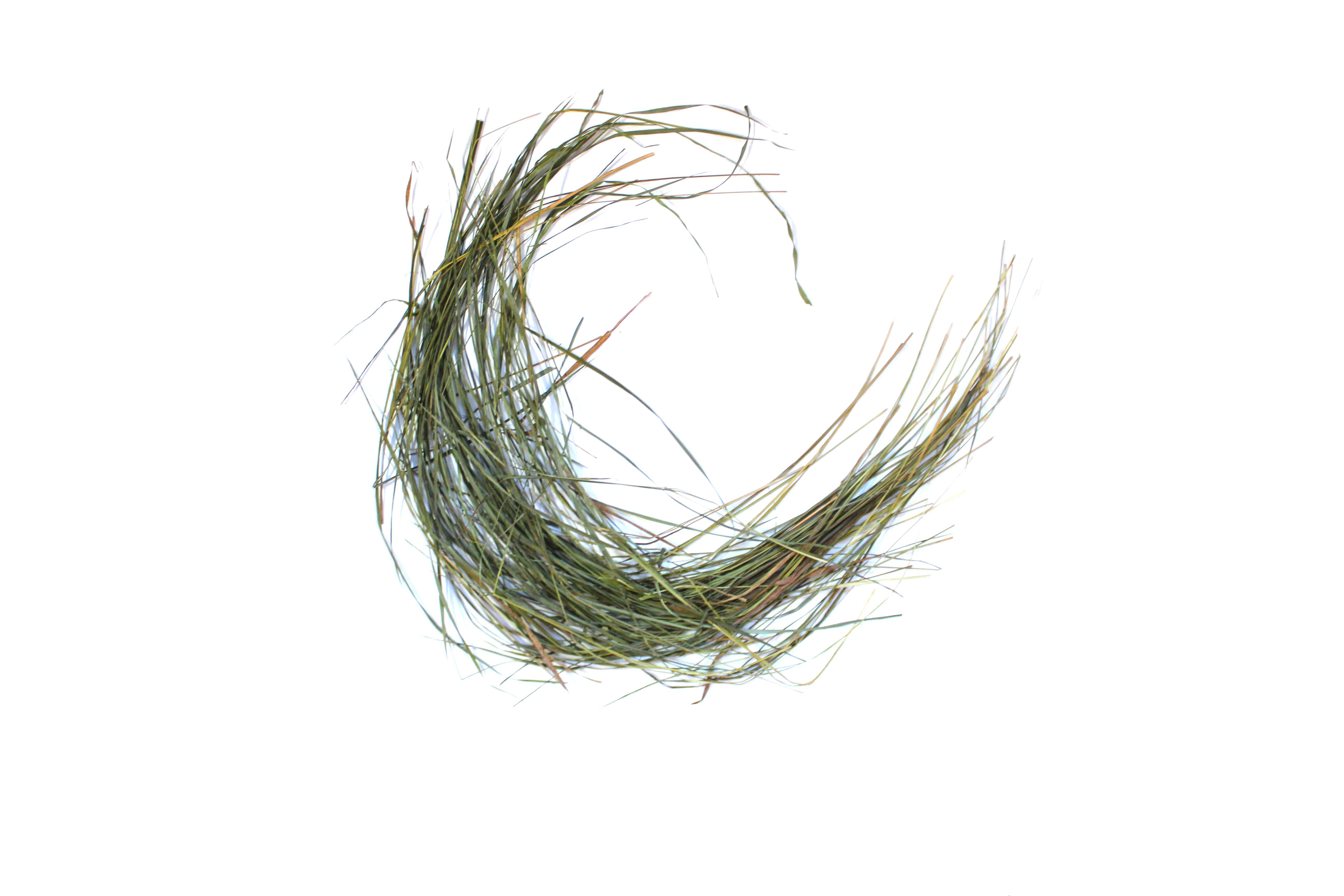 Приправа Зубровка сушеная 25 кг