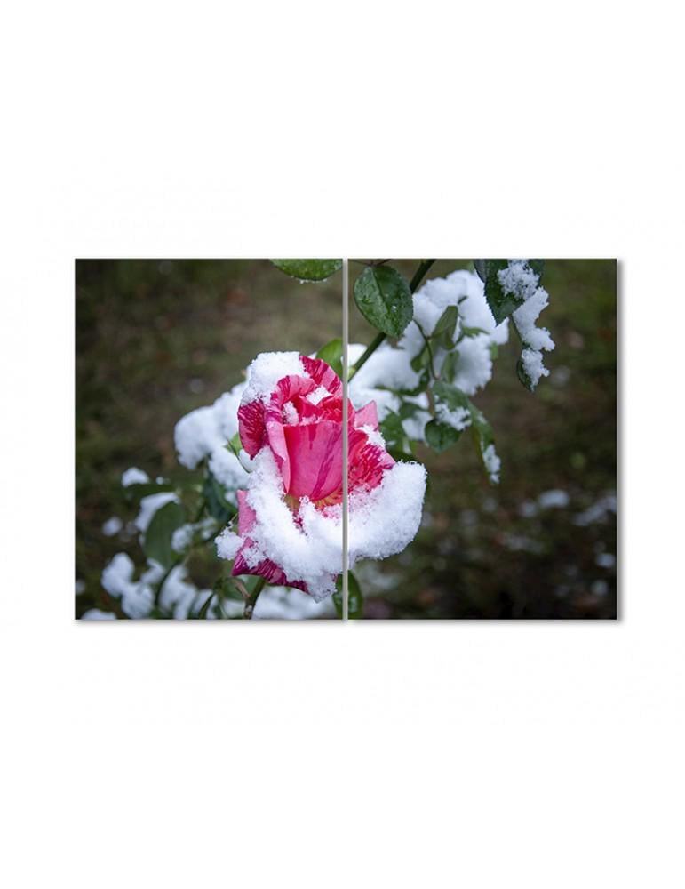 Картина модульная Розы в снегу 2 модуля 80x120 см Картина модульная Розы в снегу 2 модуля 80x120 см